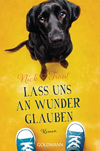 Nick Trout, Lass uns an Wunder glauben, 2020